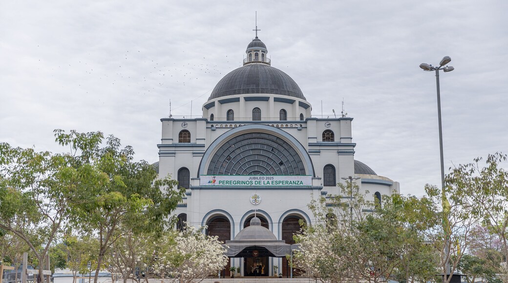 Catedral de Nuestra Señora de los Milagros (Caacupé)