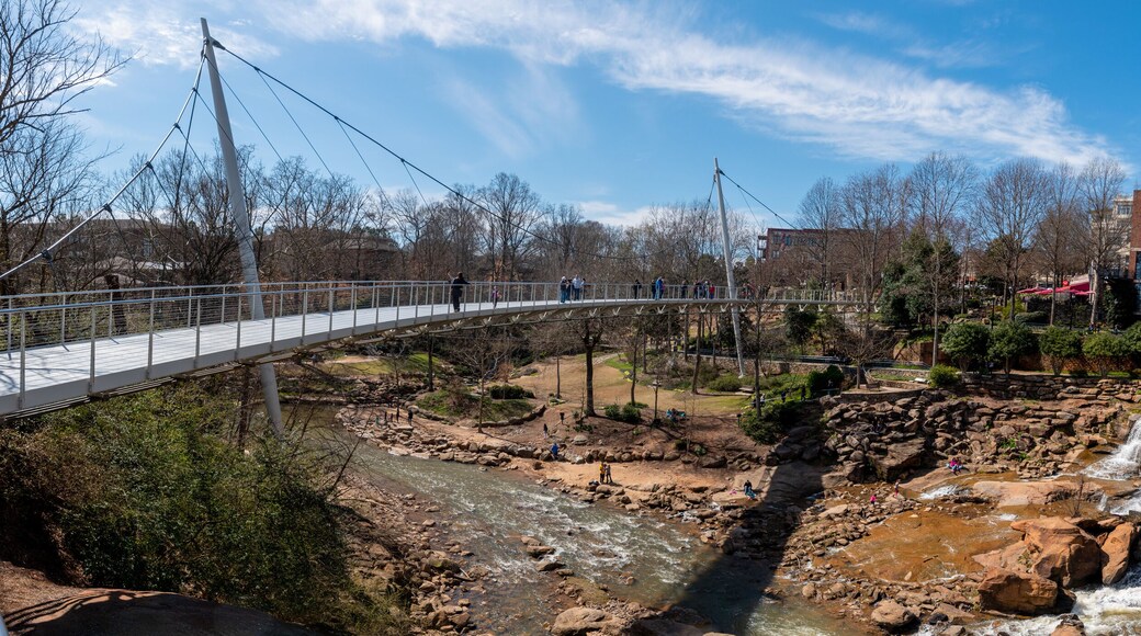 ย่านประวัติศาสตร์ Pettigru Street