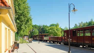 Un andén de estación de tren con un tren antiguo, un banco y un farol.