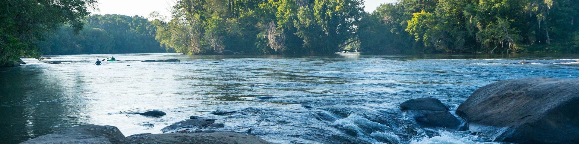 A river with large rocks in the foreground and dense trees in the background.