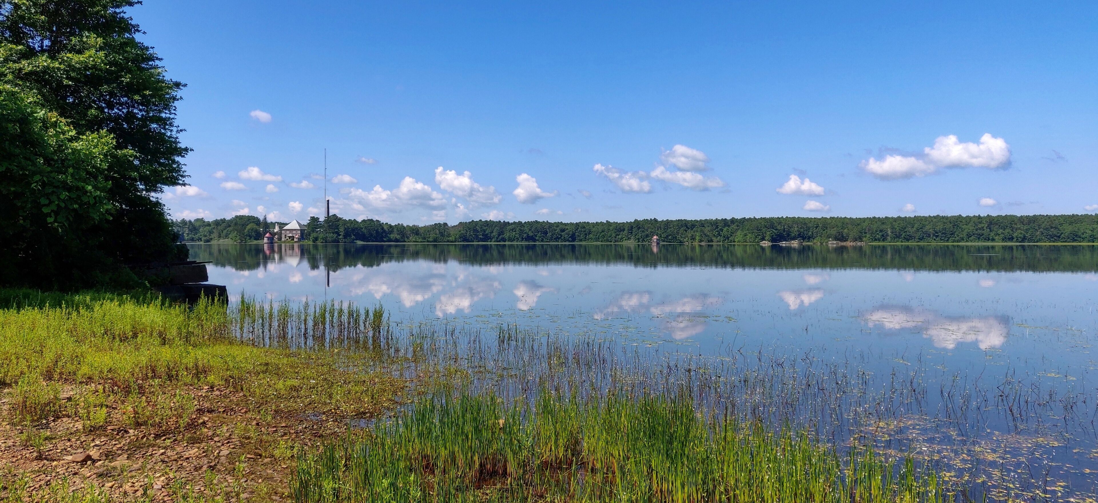 Reflections on Assawompset Pond