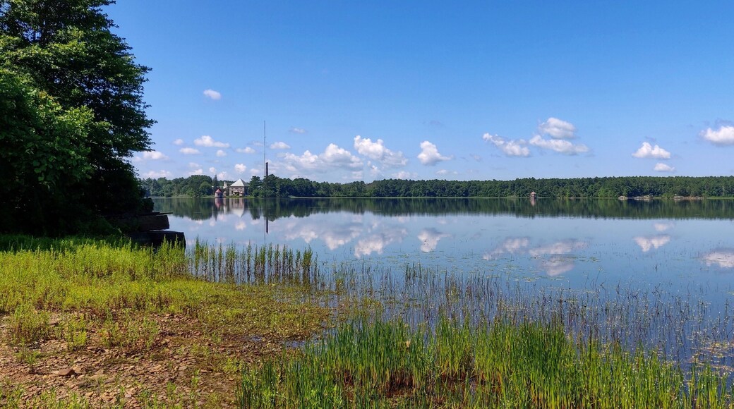 Reflections on Assawompset Pond