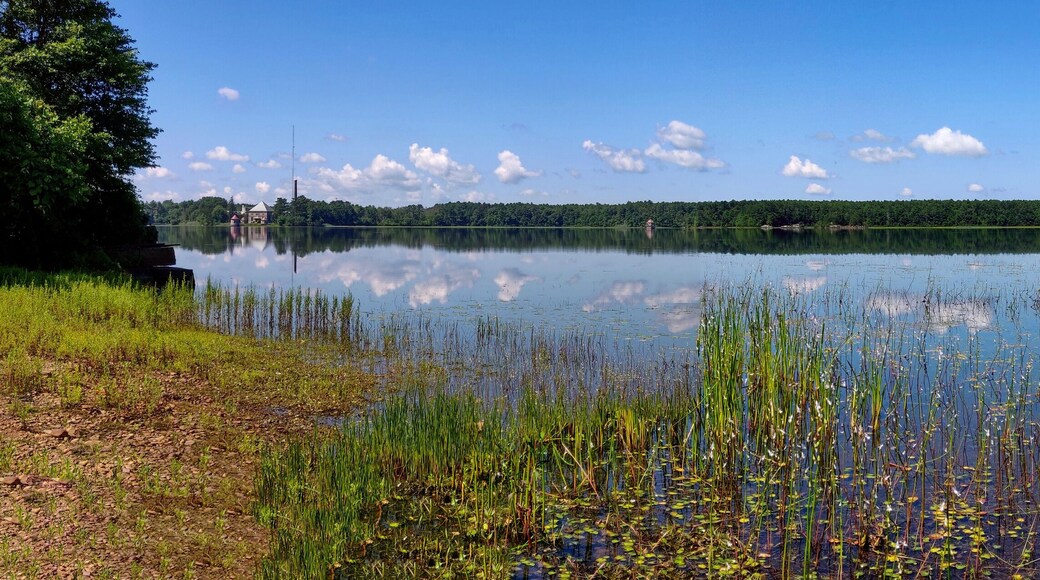 Waterways of Assawompset Pond