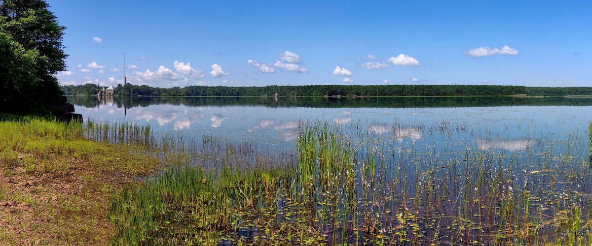 A calm lake with reflections of the sky and trees, surrounded by lush greenery and a distant forest.