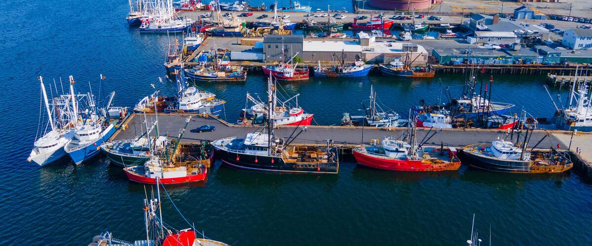 A bustling harbor with numerous boats docked, a prominent industrial building, and a clear view of the surrounding landscape.