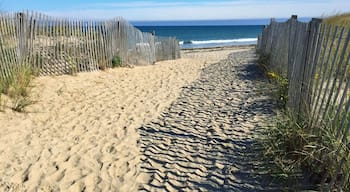 Not the nicest beach in the area, but it's a great place to walk your dog or take your car on the beach to camp out. Plus, the long bridge leading to the beach itself makes for a lovely stroll.
#BeachTips