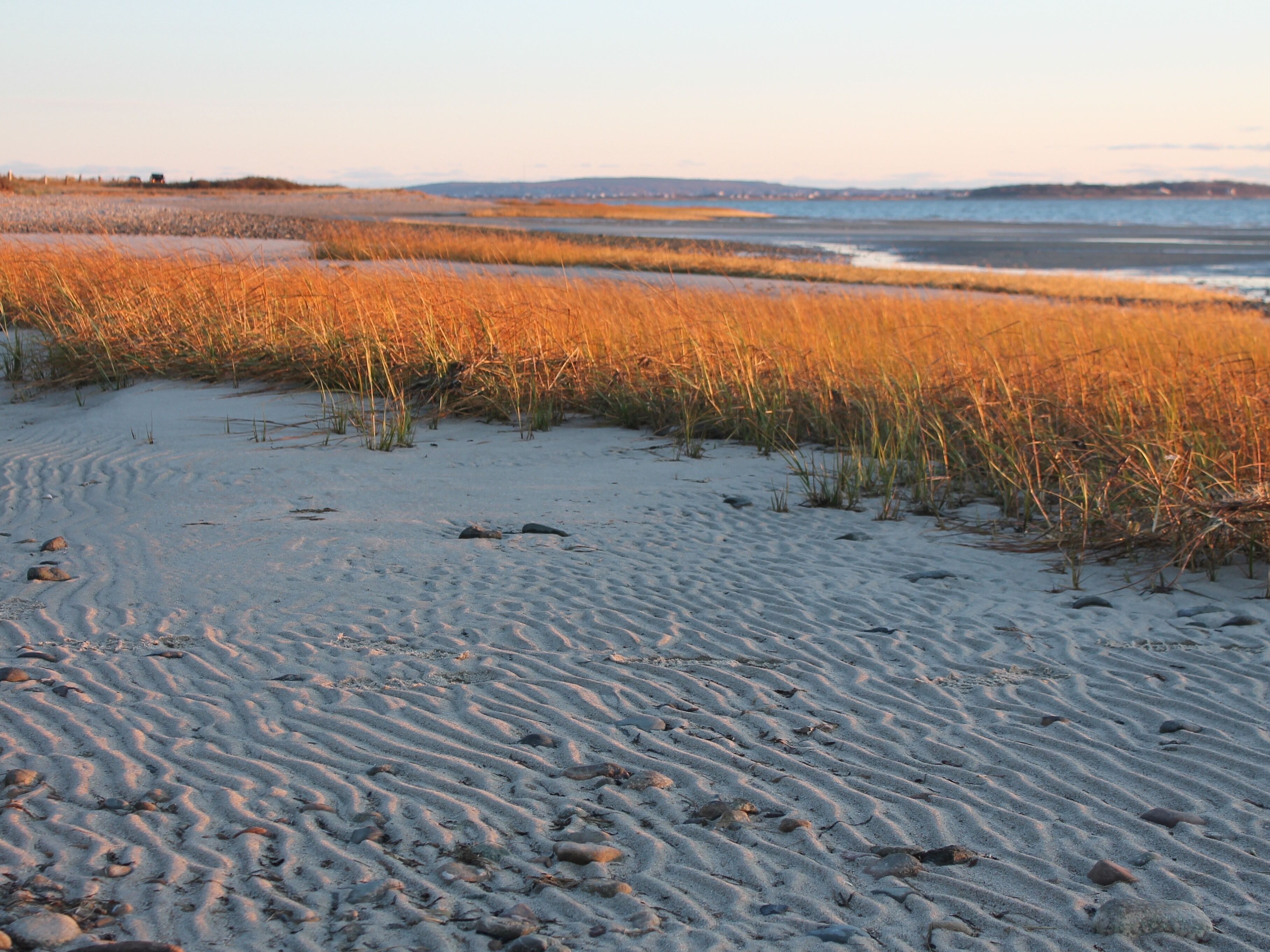 Shades of autumn at the beach #Trovember