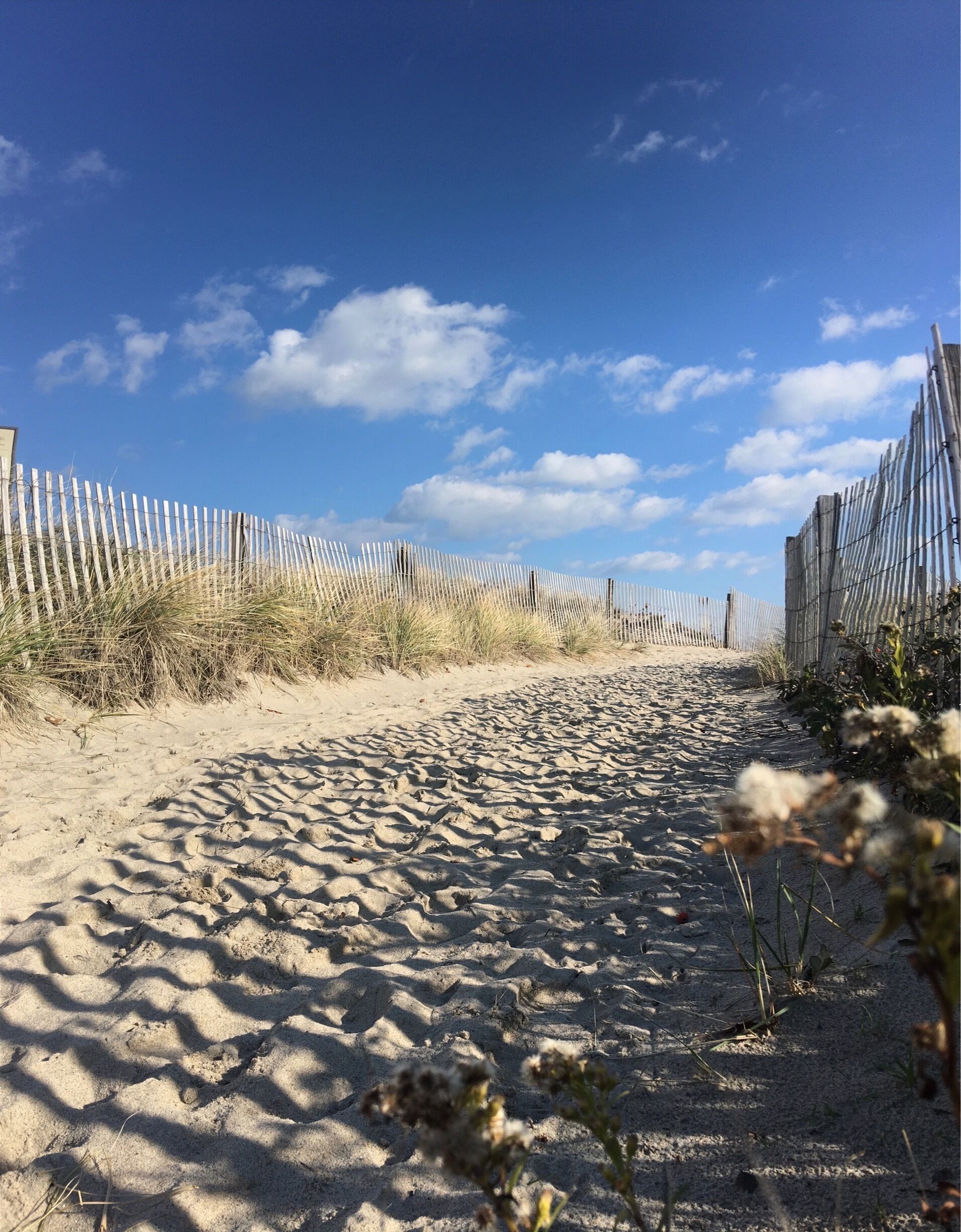 Walking the sand in winter