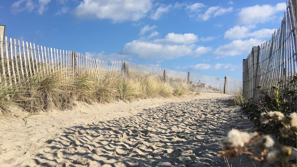 Walking the sand in winter