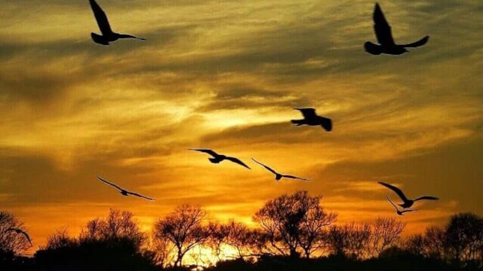 A friend sent me this photo..had to share.