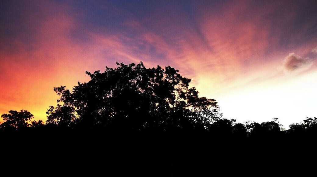 Another evening of our long road trip in Kilinochchi. There are lots of ruins of the war which took place in the northern part of Sri Lanka. These rural areas are under a huge development. And also, you must be very careful when you walk around as still there are land mines which buried during the war.