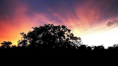 Another evening of our long road trip in Kilinochchi. There are lots of ruins of the war which took place in the northern part of Sri Lanka. These rural areas are under a huge development. And also, you must be very careful when you walk around as still there are land mines which buried during the war.