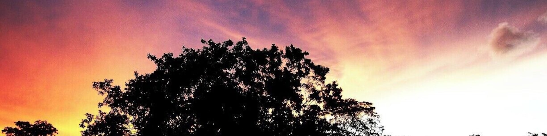 Another evening of our long road trip in Kilinochchi. There are lots of ruins of the war which took place in the northern part of Sri Lanka. These rural areas are under a huge development. And also, you must be very careful when you walk around as still there are land mines which buried during the war.