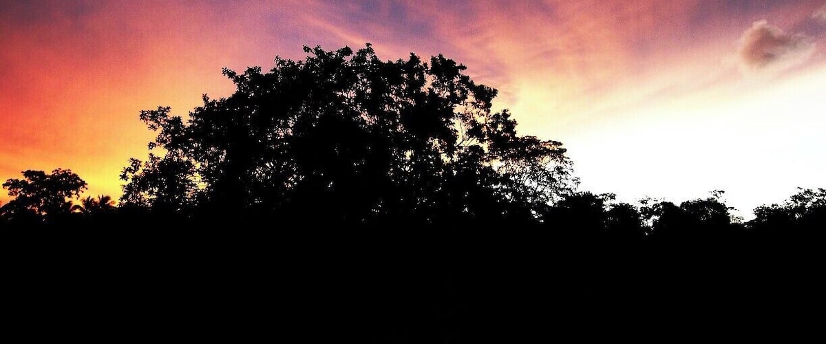 A silhouette of trees against a colorful sky.