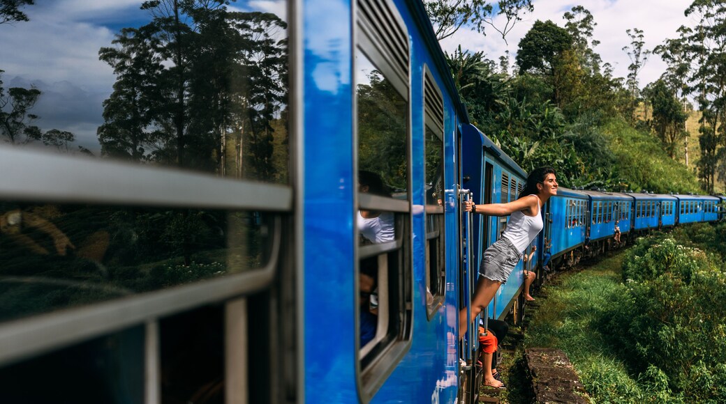 A tourist travels by train to beautiful places, a panorama. A beautiful woman travels by train around the world. Travel by train in Sri Lanka. A traveler in Sri Lanka. Railway transport. Copy Space
