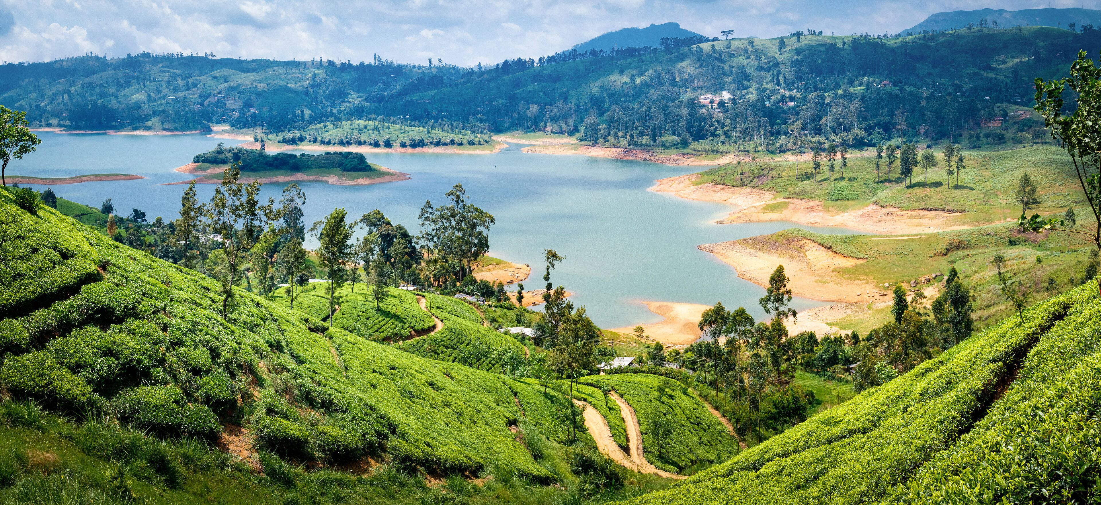 Beautiful view on tea plantation near Nuwara Eliya, Sri Lanka