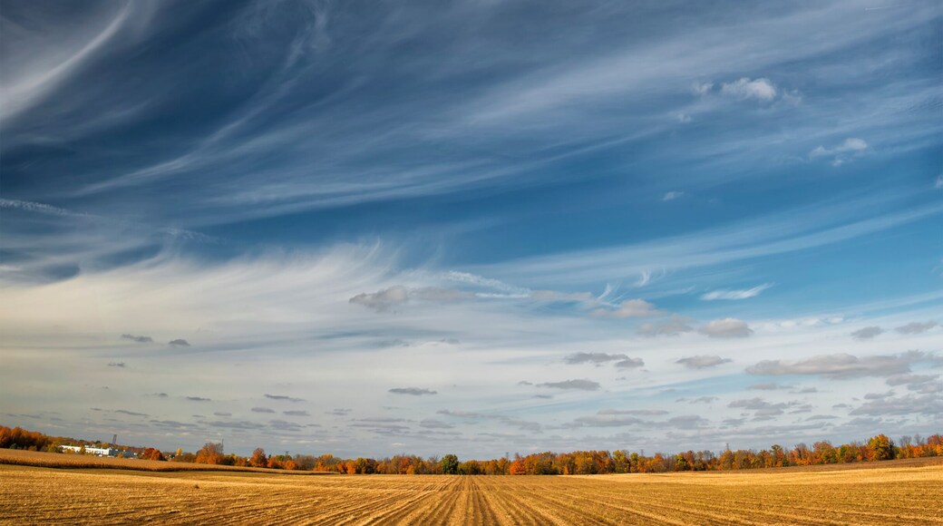 Farmland near london,Ontario canada