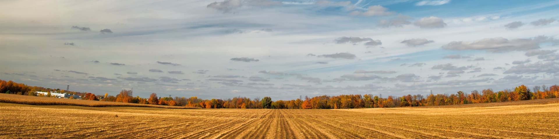 Farmland near london,Ontario canada