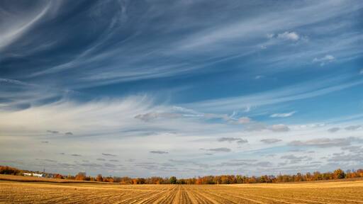 Farmland near london,Ontario canada