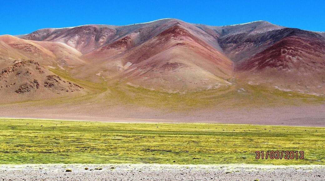 This area is of an incredible diversity, it is part of the Argentine Puna. #roadtrip
