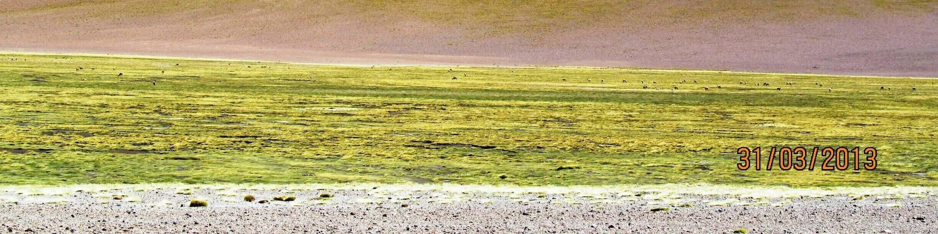 This area is of an incredible diversity, it is part of the Argentine Puna. #roadtrip