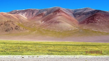 This area is of an incredible diversity, it is part of the Argentine Puna. #roadtrip