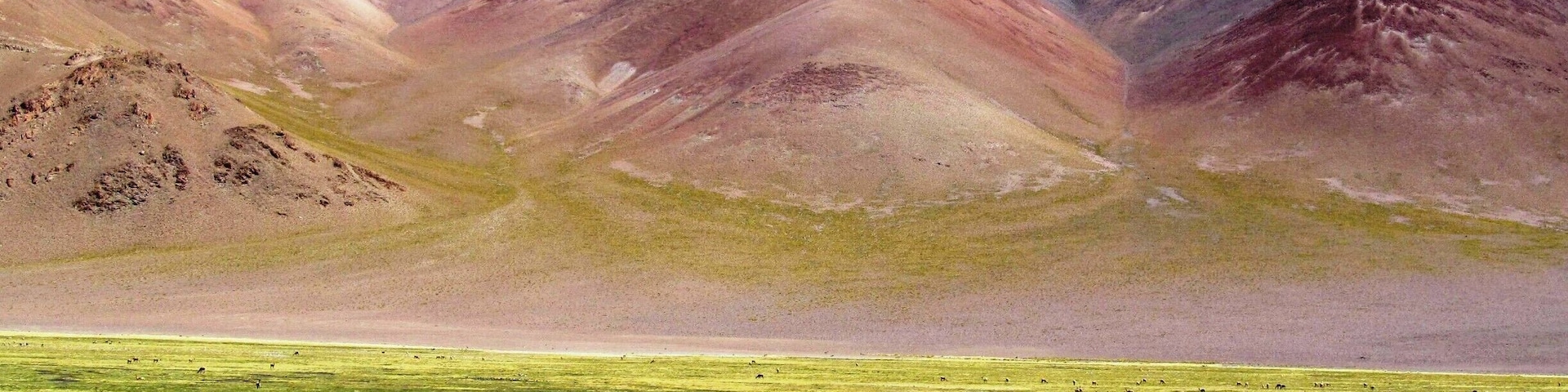 This area is of an incredible diversity, it is part of the Argentine Puna. #roadtrip