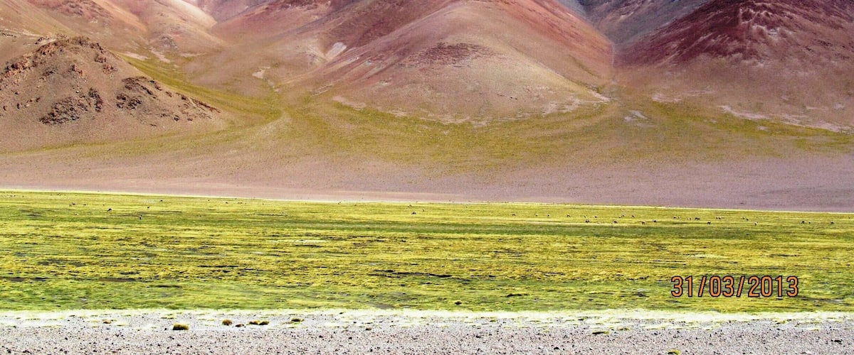A mountainous landscape with green fields in the foreground and a clear blue sky.