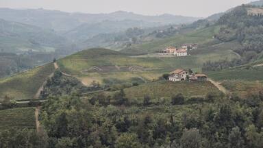 0_Piedmont_Castiglione-Falletto