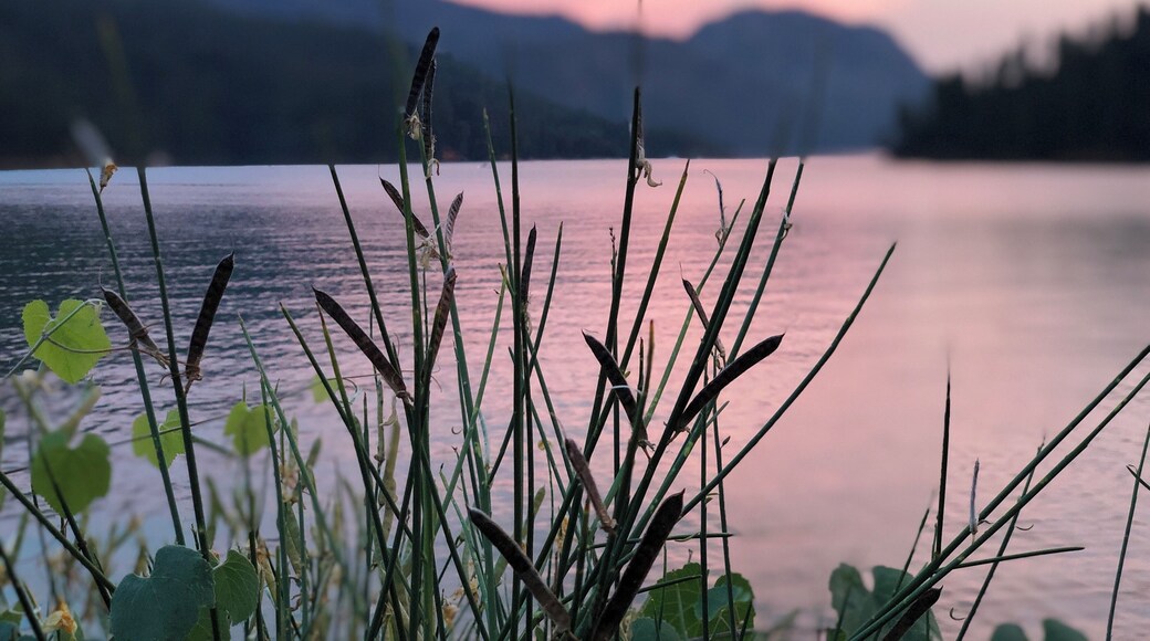 Sunset @ Hirz Bay Cabin! Just magical
#california #mtshasta #shastatrip #hirzbay #hirzcabin #sunset #pinksky #nature #naturelover