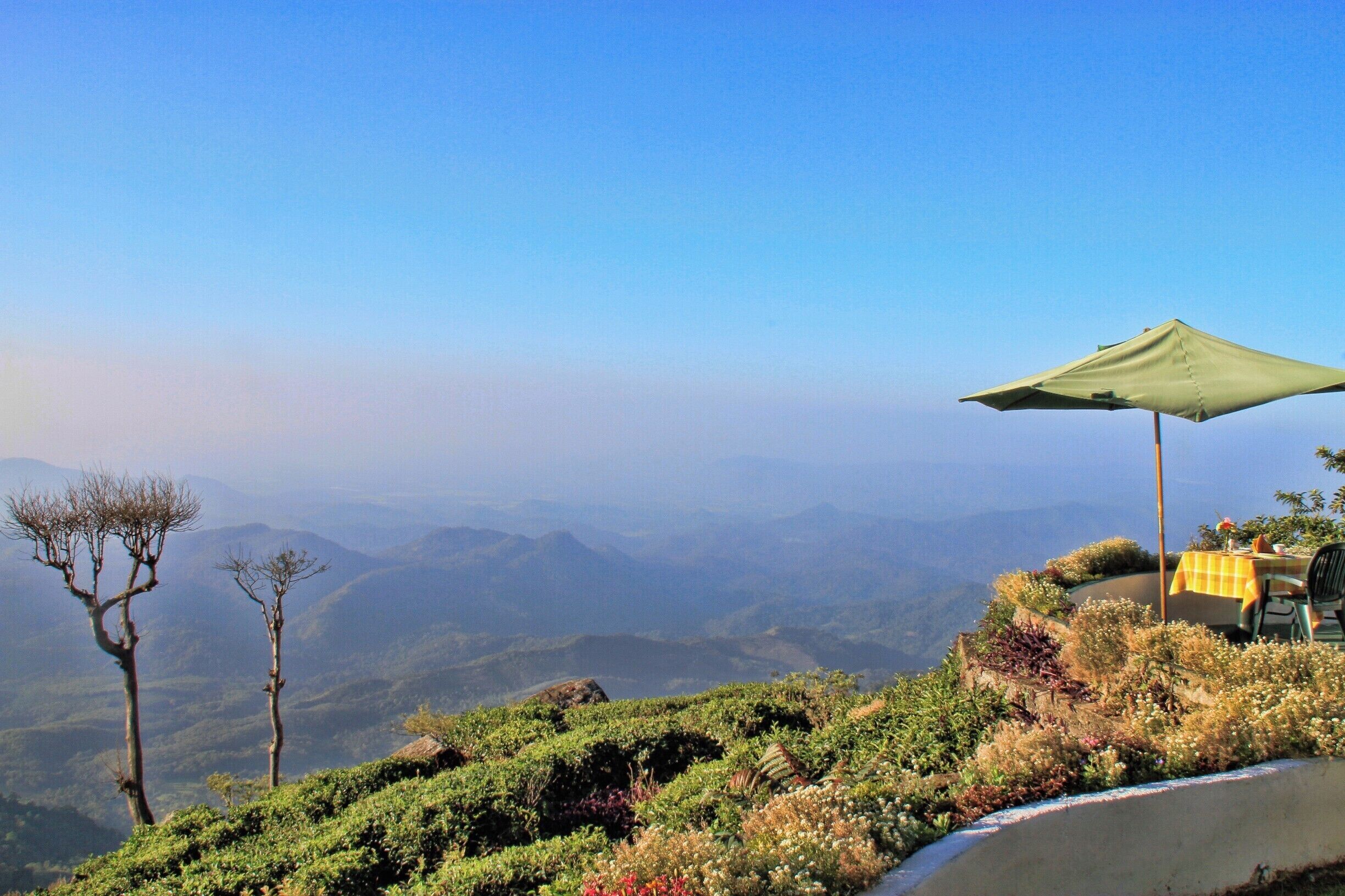 Great place to have breakfast at Kelburne Mountain View Cottages,