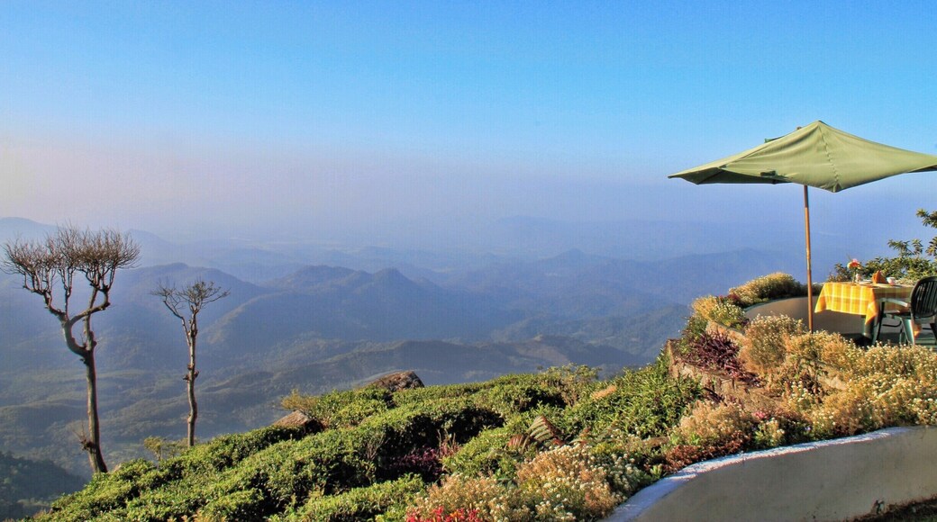 Great place to have breakfast at Kelburne Mountain View Cottages,