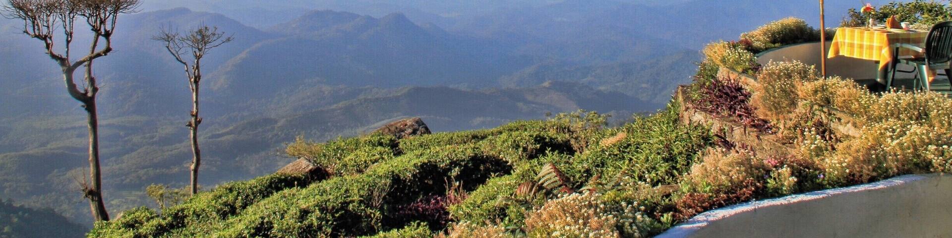 Great place to have breakfast at Kelburne Mountain View Cottages,