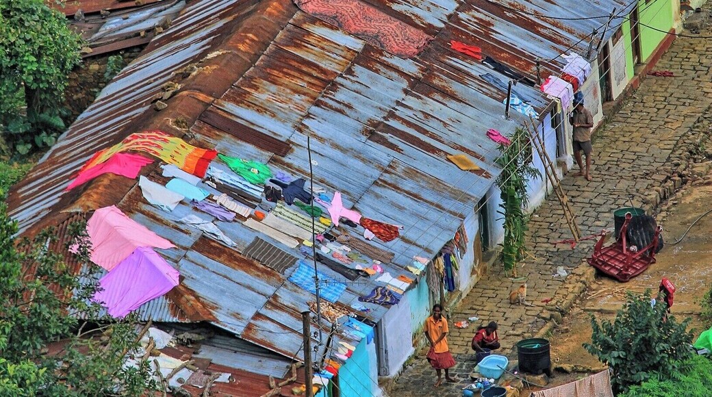 Accommodation for the tea pickers and families
