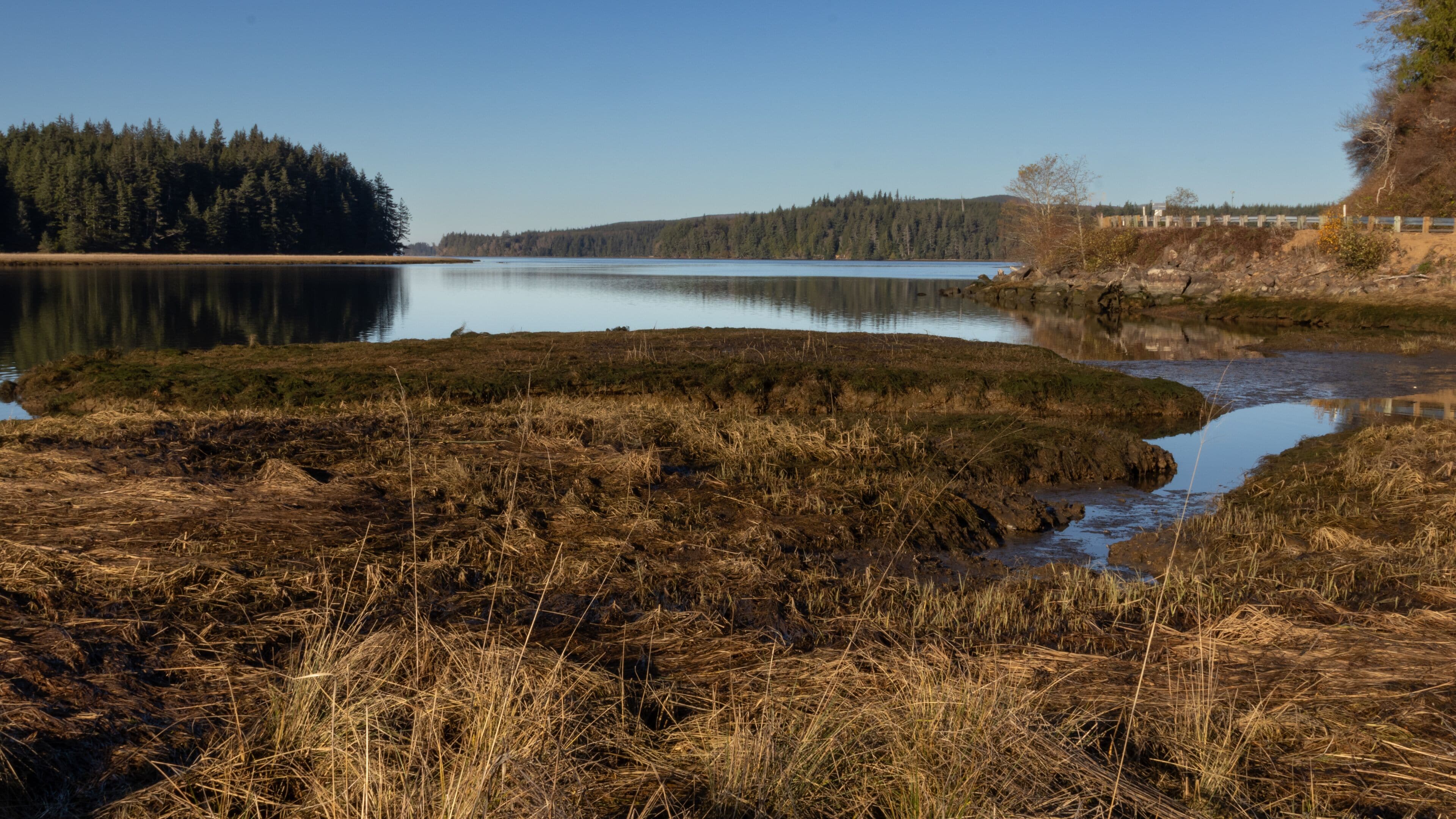Willapa Bay at the Ellsworth Nature Preserve