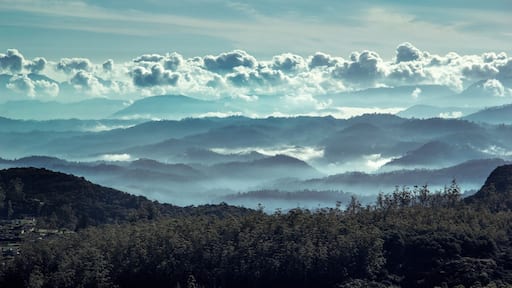 The view you get by climbing the difficult path to Horton Plains in the morning light. The whole world infront of you looks Blue
#Blue
#Mountains
#Hiking
#Clouds
#Mist
#Blue Skt
