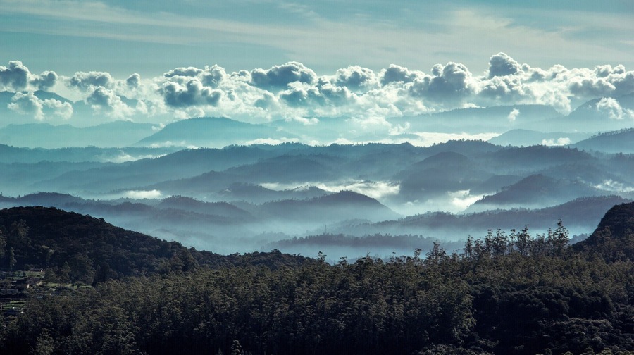 The view you get by climbing the difficult  path to Horton Plains in the morning light. The whole world infront of you looks Blue
#Blue
#Mountains
#Hiking
#Clouds
#Mist 
#Blue Skt
