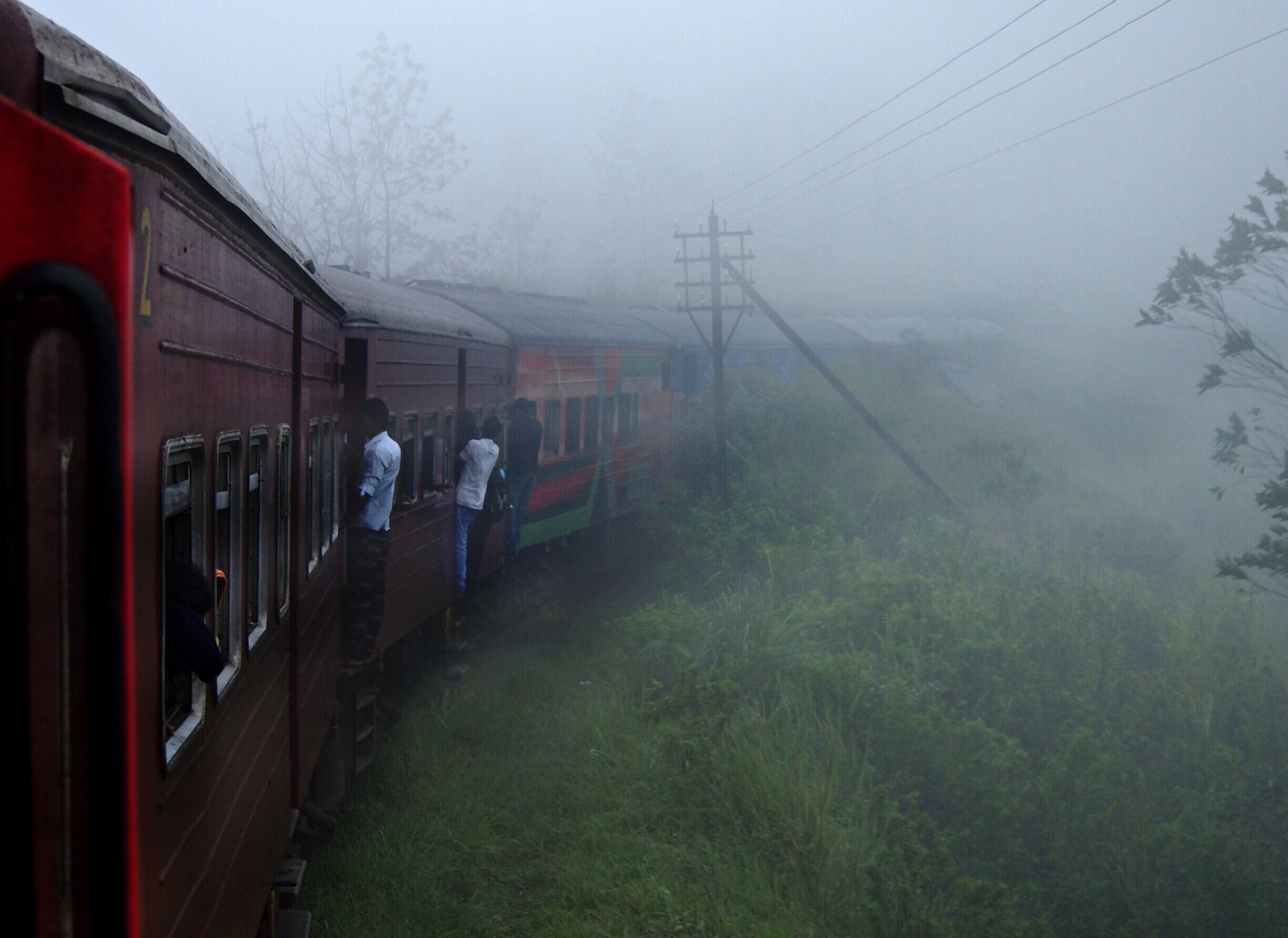 Once the train passes Pattipola railway station, it enters to Horton Plains National Park which is fully covered by huge trees, misty and rainy. The environment suddenly changes into a mysterious nature. This was taken while passing that region on our journey to Badulla.  