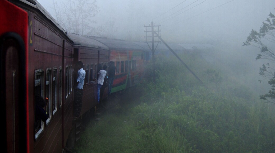 Once the train passes Pattipola railway station, it enters to Horton Plains National Park which is fully covered by huge trees, misty and rainy. The environment suddenly changes into a mysterious nature. This was taken while passing that region on our journey to Badulla.