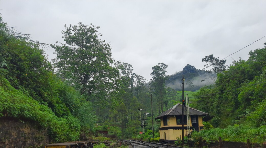 Most beautiful Railway station in Sri Lanka
