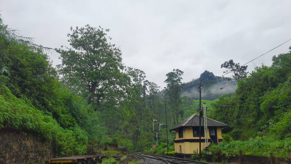 Railway tracks curving through a lush green forest with a small yellow building on the right.