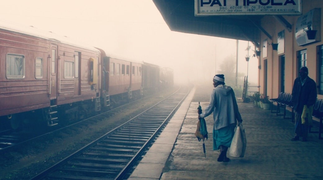 A train coming out of misty and magical 'worlds end' Hillstation Pattipola.