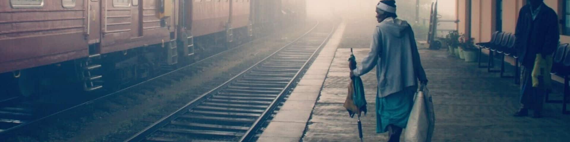 A train coming out of misty and magical 'worlds end' Hillstation Pattipola.