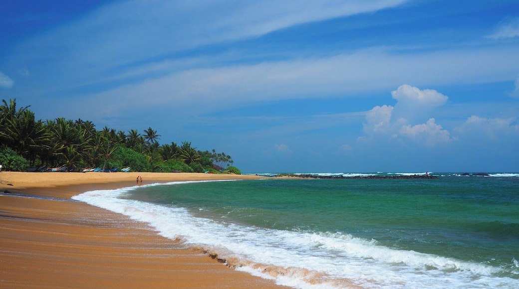 We were a bit fearful of being washed out by the monsoon rains when we arrived in Mirissa during August. And then we were greeted by this.....! Beautiful sand, monster waves and windswept coconut trees combine to make this the perfect stop en route from Galle to Sri Lanka's east coast.