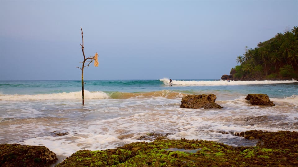 A beach with waves, a surfer, and a tree with a cloth.