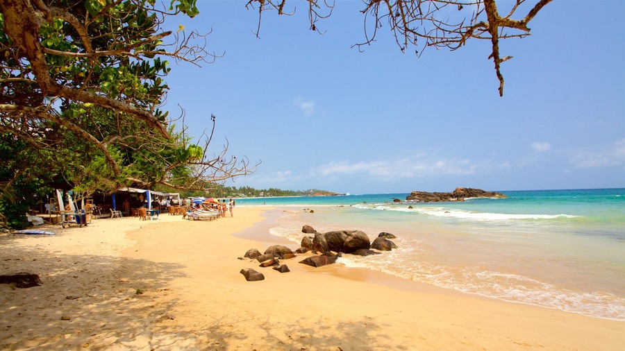 Mirissa toont een zandstrand en algemene kustgezichten