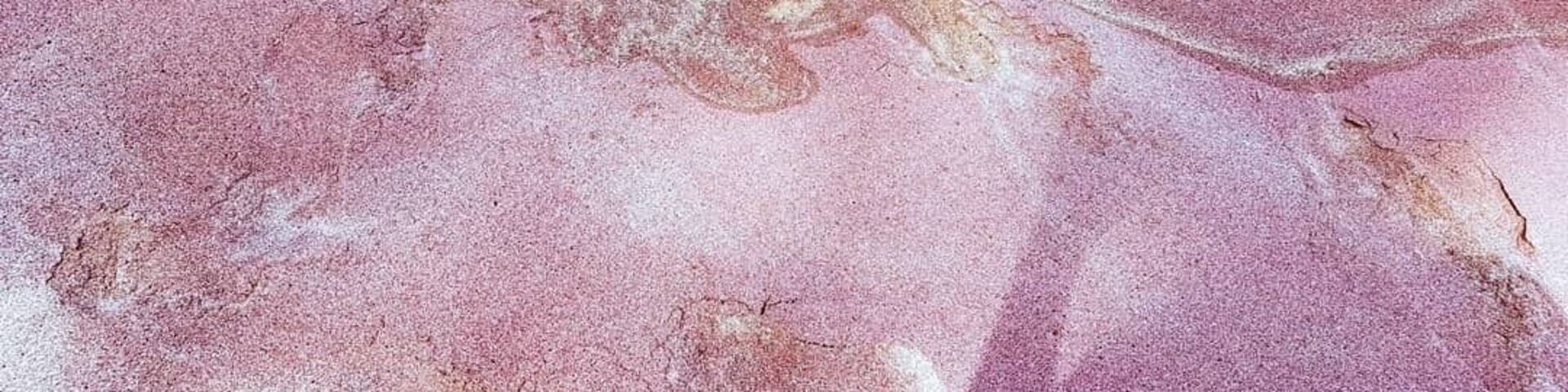 At the start of the beautiful Secret Beach (Mirissa) is a section where the sand is pink!
#srilanka
#secret beach
# colours
#pink