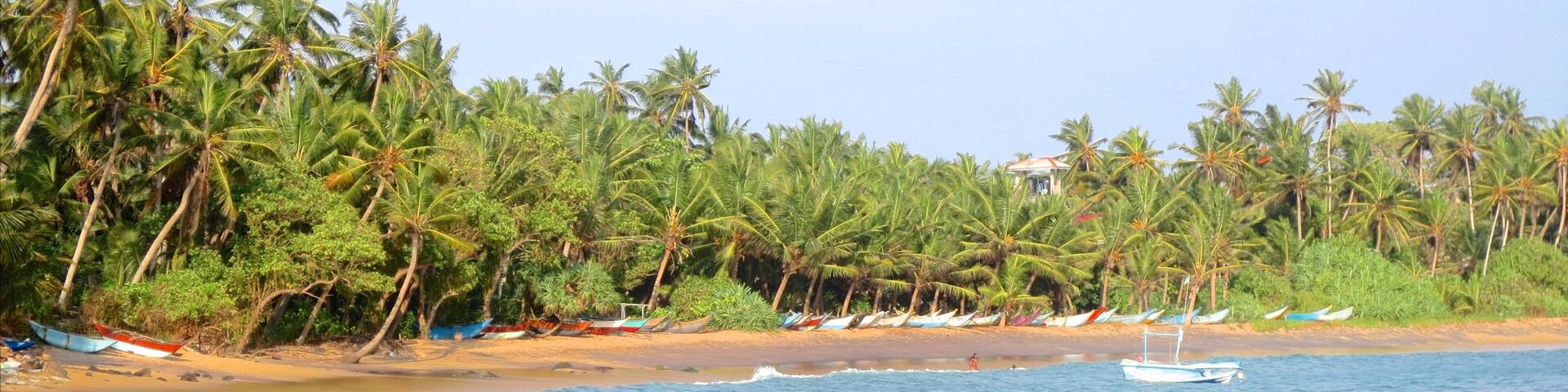 A person wading through shallow water near a beach with boats and palm trees in the background.