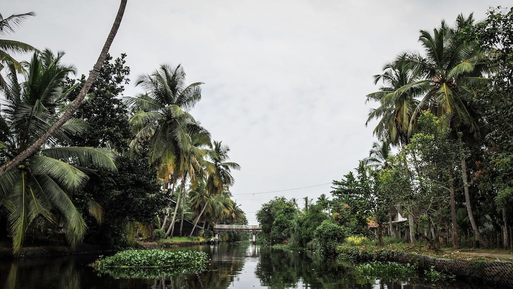The landscape of the Negombo Lagoon in Sri Lanka