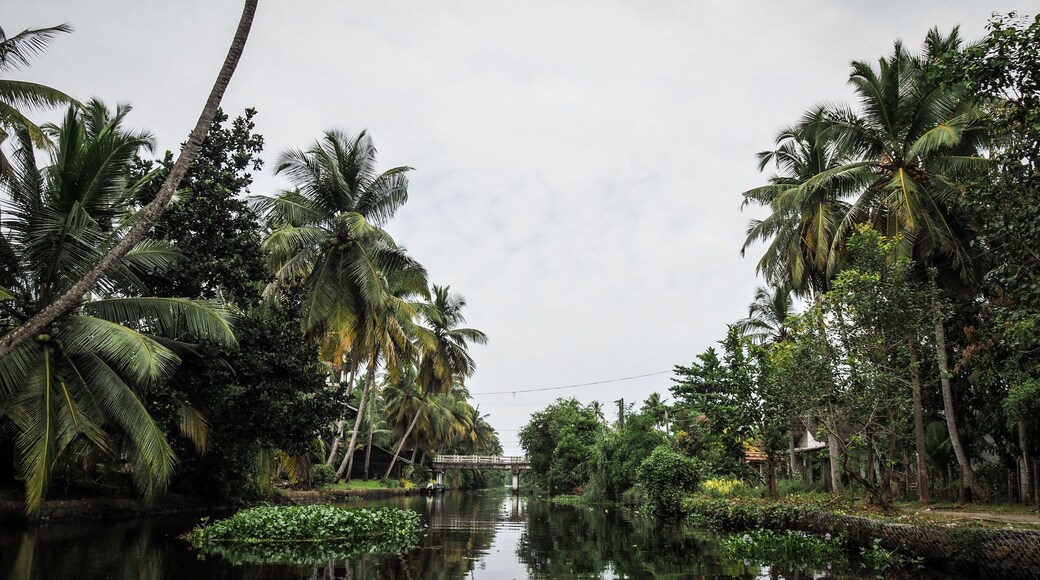 The landscape of the Negombo Lagoon in Sri Lanka
